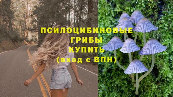 apvp Костерёво