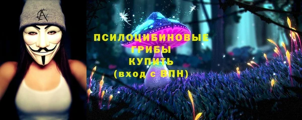 apvp Костерёво